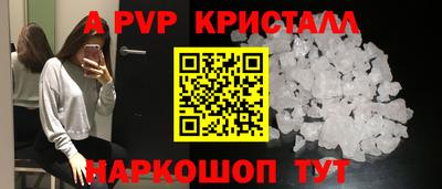шишки Будённовск