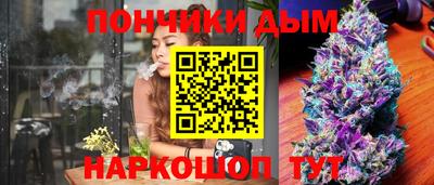 шишки Будённовск